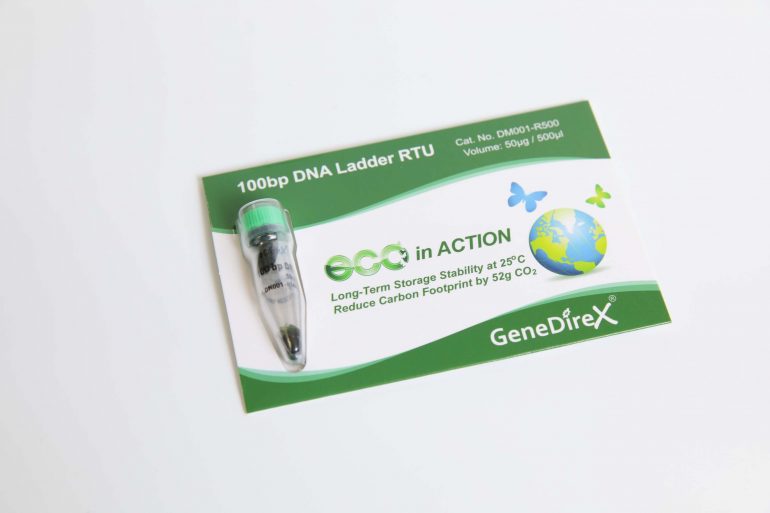  100bp DNA Ladder
